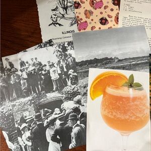 200 Piece Vintage Scrapbook Junk Journal Euphoria set